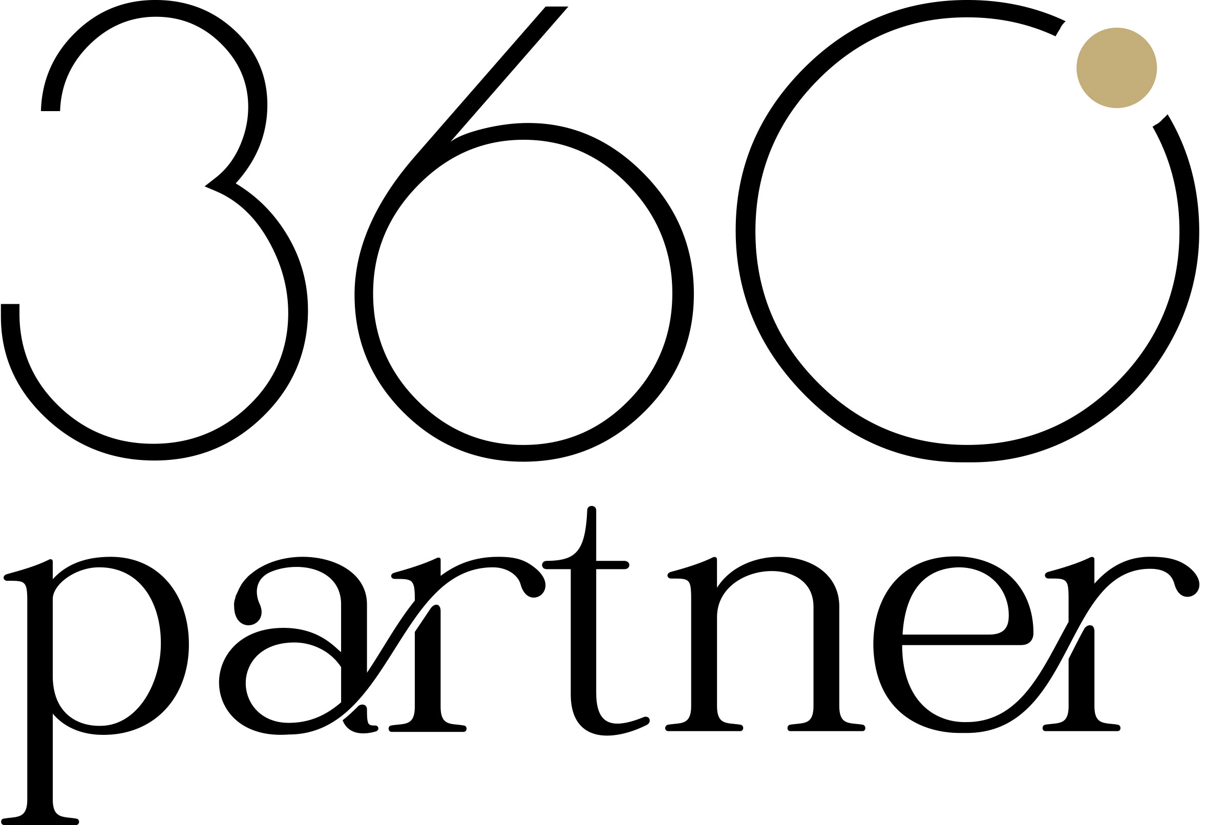 Program Partner 360