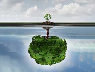 Razvojno analitična psihoterapija